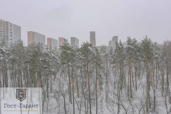 Адрес: Котельники, Сосновая улица, дом 2, агентство недвижимости Гост-Гарант, планировка: жк белые росы, комнат: 1. Фото 4